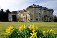 hartwell-22-daffodils-house.jpg.512x342_q85_crop_detail_upscale