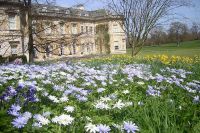 hartwell-23-south-lawns.jpg.512x342_q85_crop_detail_upscale