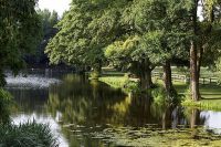 hartwell-29-lake-1.jpg.512x342_q85_crop_detail_upscale